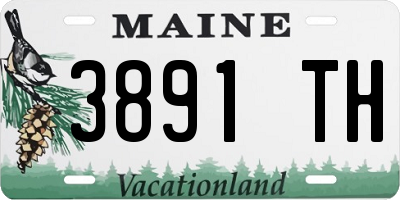 ME license plate 3891TH