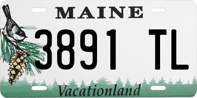 ME license plate 3891TL