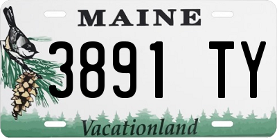ME license plate 3891TY