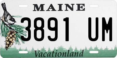 ME license plate 3891UM