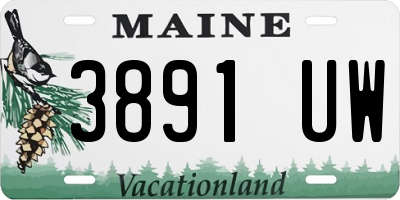 ME license plate 3891UW