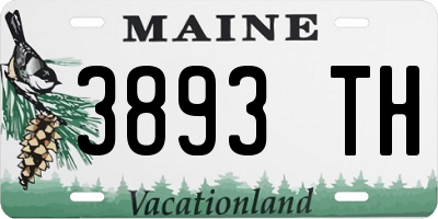 ME license plate 3893TH