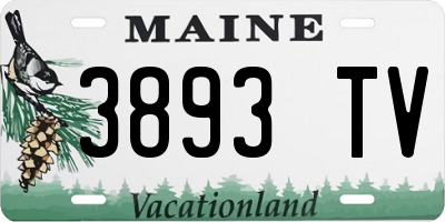 ME license plate 3893TV