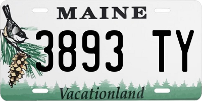 ME license plate 3893TY
