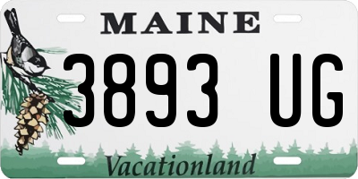 ME license plate 3893UG
