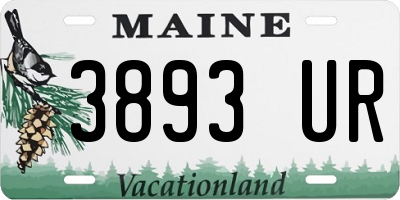 ME license plate 3893UR