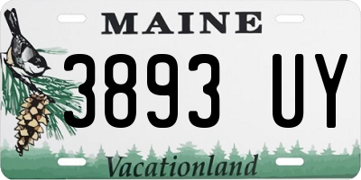 ME license plate 3893UY