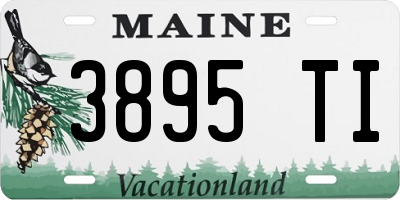 ME license plate 3895TI