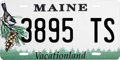 ME license plate 3895TS