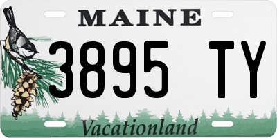 ME license plate 3895TY