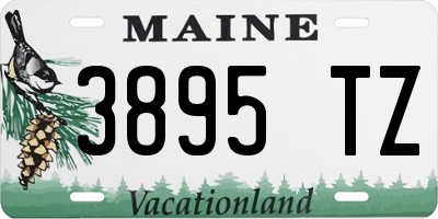 ME license plate 3895TZ