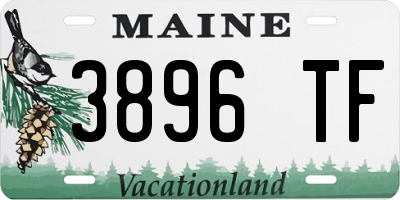 ME license plate 3896TF