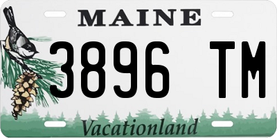 ME license plate 3896TM
