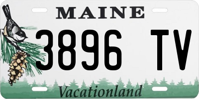 ME license plate 3896TV
