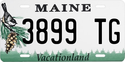 ME license plate 3899TG