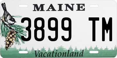 ME license plate 3899TM