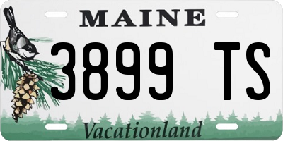 ME license plate 3899TS