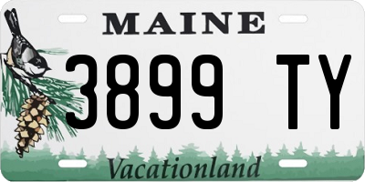 ME license plate 3899TY
