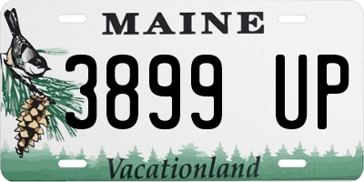 ME license plate 3899UP