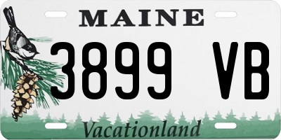 ME license plate 3899VB