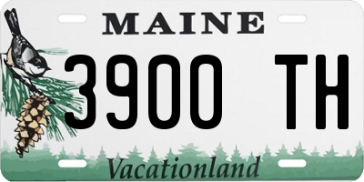 ME license plate 3900TH