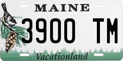 ME license plate 3900TM