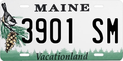 ME license plate 3901SM