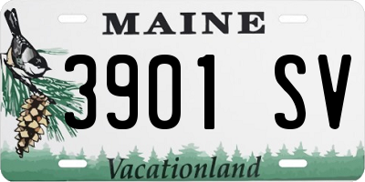 ME license plate 3901SV