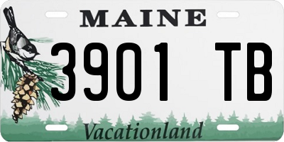 ME license plate 3901TB