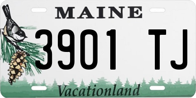 ME license plate 3901TJ