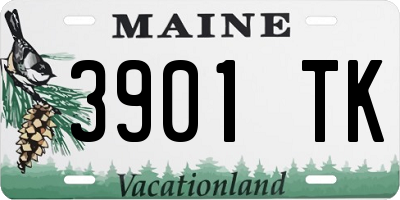 ME license plate 3901TK