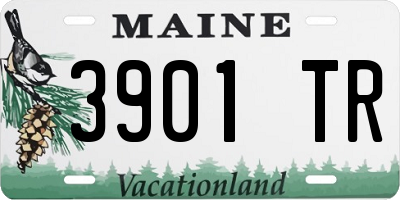 ME license plate 3901TR