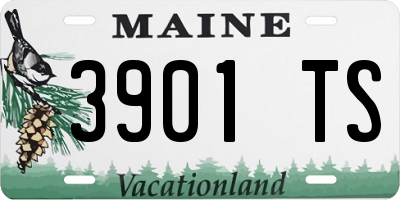 ME license plate 3901TS