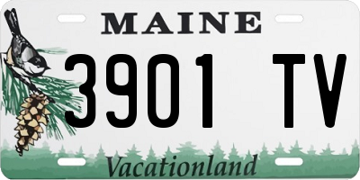 ME license plate 3901TV