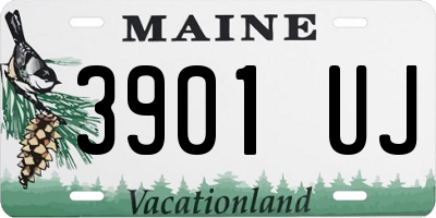 ME license plate 3901UJ