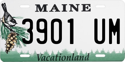 ME license plate 3901UM