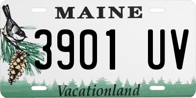 ME license plate 3901UV