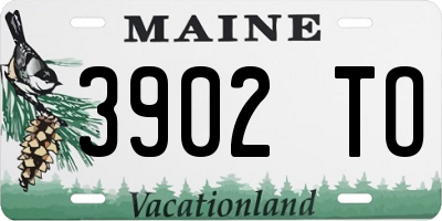ME license plate 3902TO