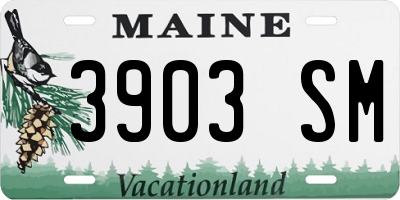 ME license plate 3903SM