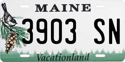 ME license plate 3903SN