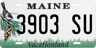 ME license plate 3903SU