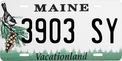 ME license plate 3903SY