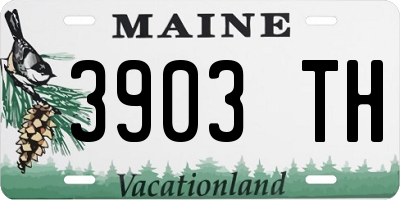 ME license plate 3903TH