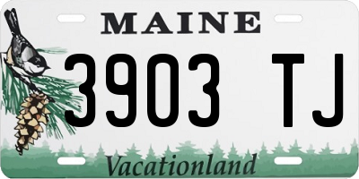ME license plate 3903TJ