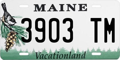 ME license plate 3903TM