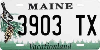ME license plate 3903TX