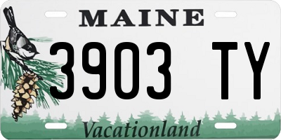ME license plate 3903TY