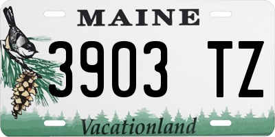 ME license plate 3903TZ