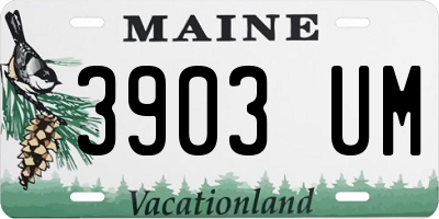 ME license plate 3903UM