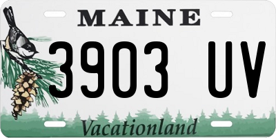 ME license plate 3903UV